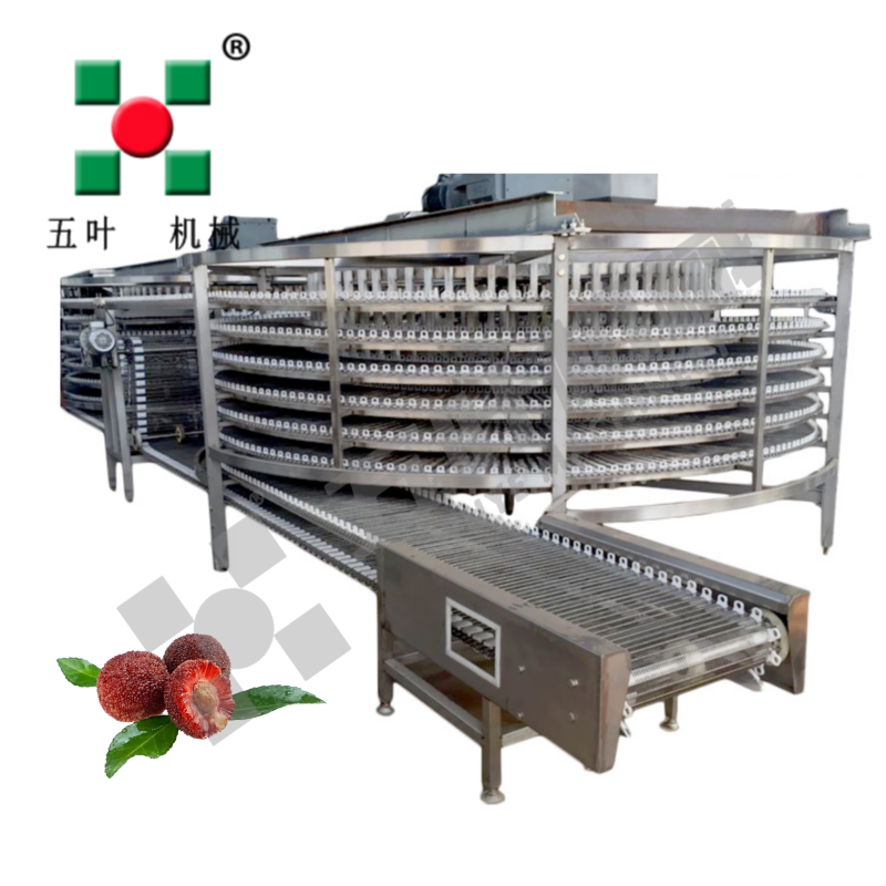 Industrial Fruit Dryer Production Line For Lychee