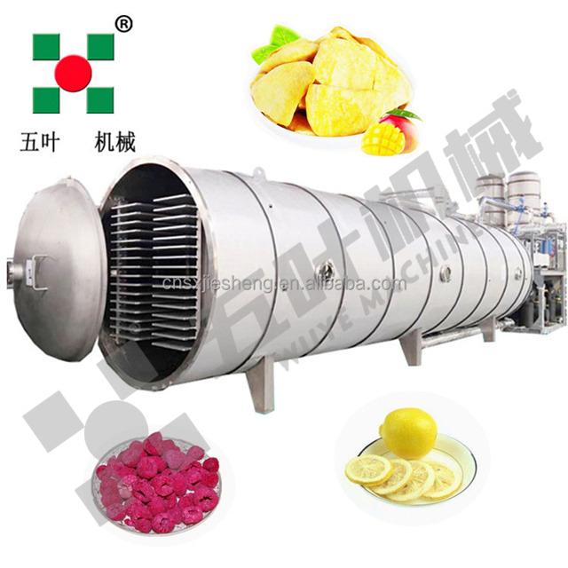 Automatic Food Freeze Drying Machine Fruit and Vegetable Vacuum Dryer/food Freeze Drying Machine