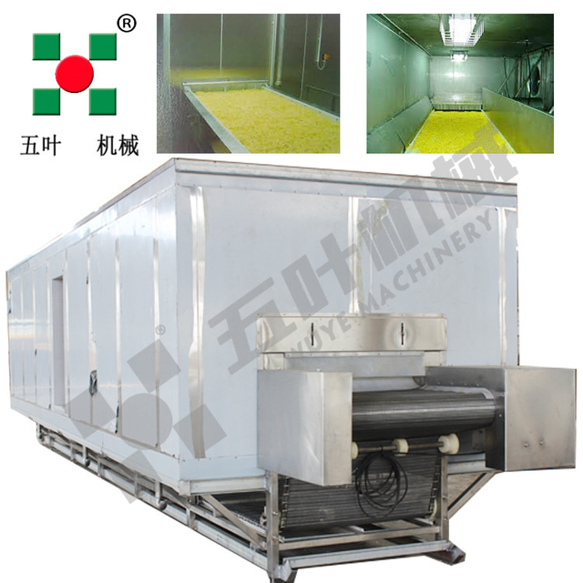Fully Automatic Frozen Vegetable Production Line Potato French Fries Production Line Industrial Belt Dryer