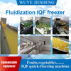 Manufacturer IQF Freezing Machine For Corn
