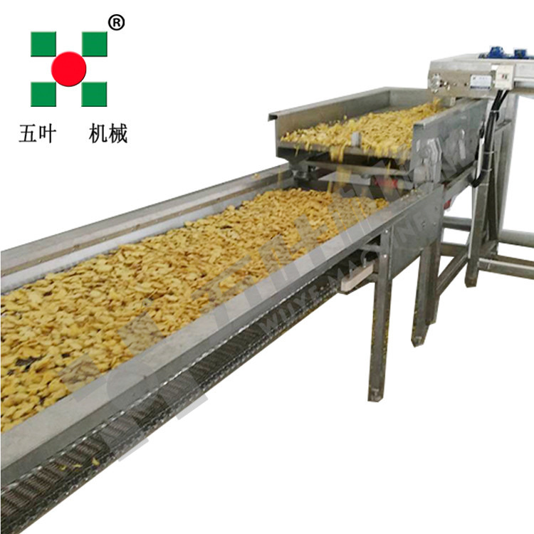 Industrial Continuous High Capacity Fruit Processing Line Manufacturing Fruit Freezing Equipment Fruit Frozen Vegetable Production Line
