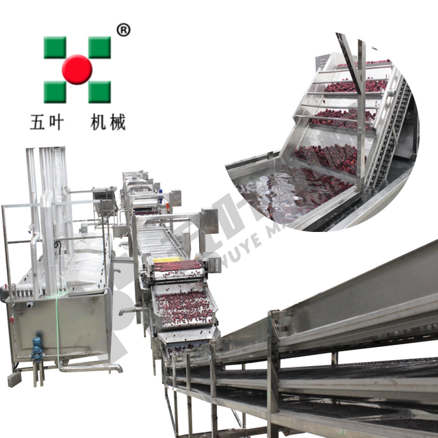Automatic Continuous Waxberry Frozen Fruit And Vegetable Production Line Fruit Freezing Equipment Fruit Production Line