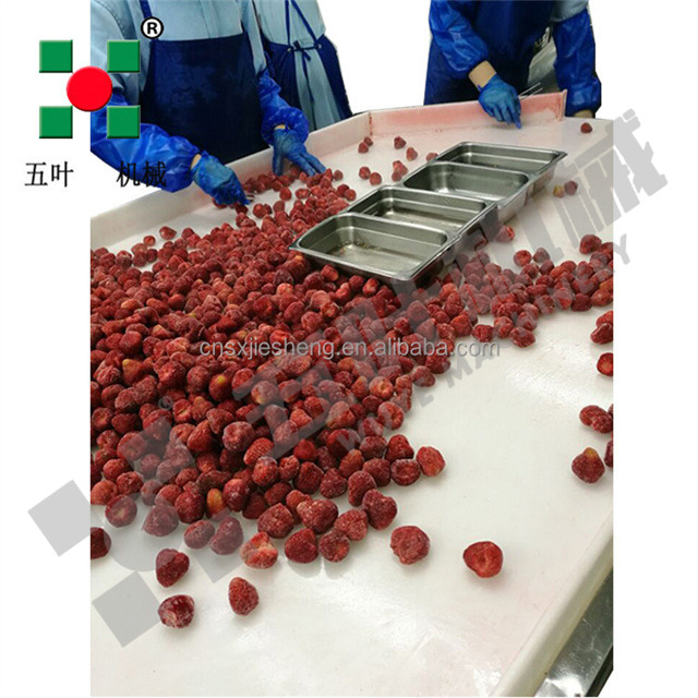 Direct Factory Sales IQF Freezer Production Frozen Strawberries Fruit & Vegetable Processing Machines Line Food Processing Lines