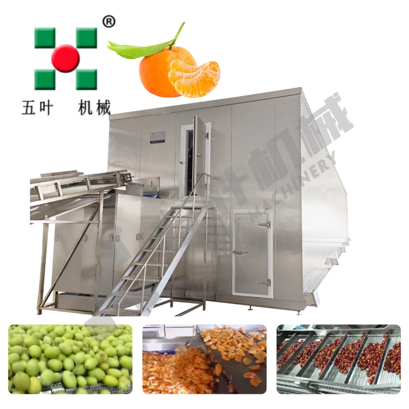 Industrial IQF Freezing Machine for Fruit