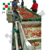  IQF Quick-Freezing Production Line for Cherries & Plums