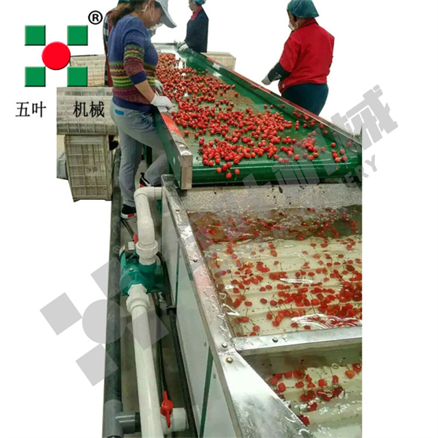  IQF Quick-Freezing Production Line for Cherries & Plums