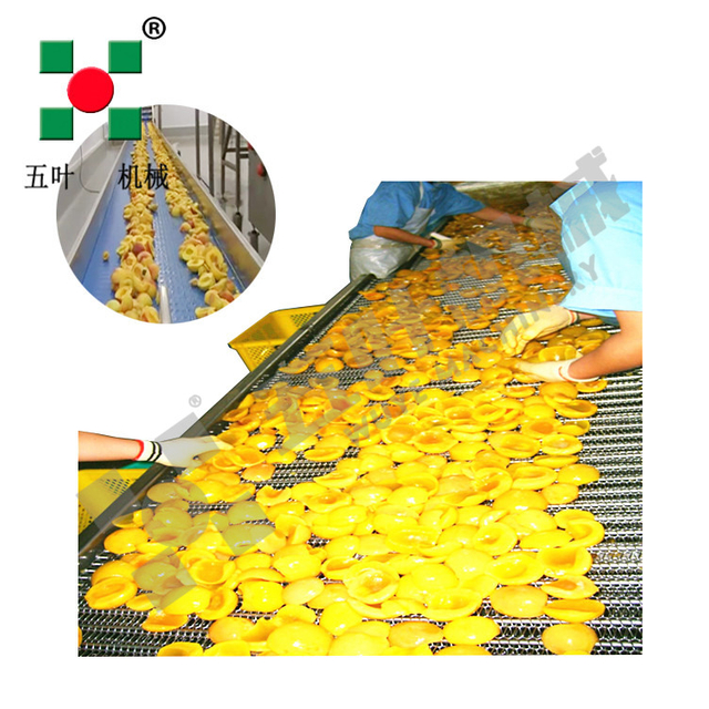 OEM Freezing Machine Fruit Processing Equipment For Peach
