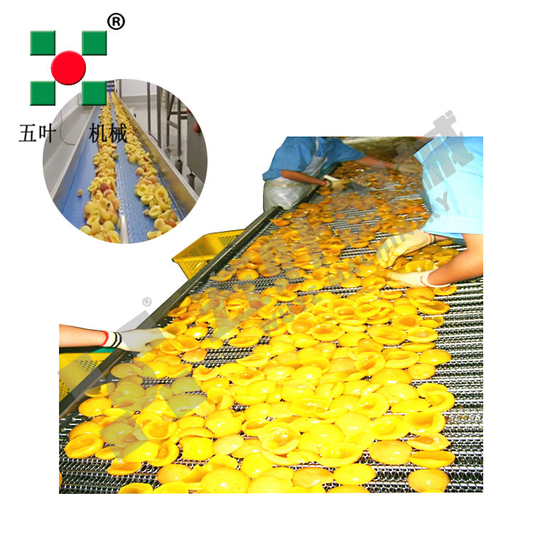 OEM Freezing Machine Fruit Processing Equipment For Peach