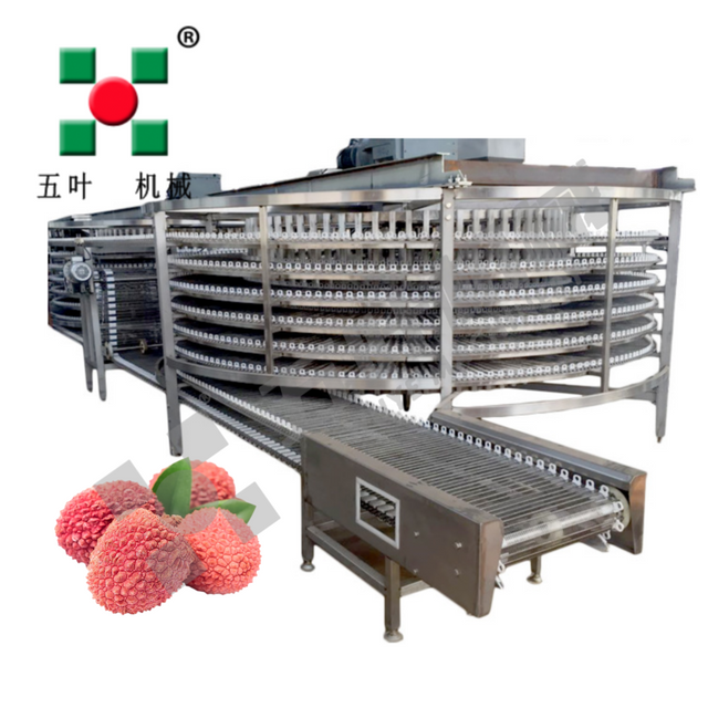 Industrial Fruit Dryer Production Line For Lychee