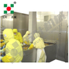 High-Capacity Double Spiral Freezer For Portioned Meat