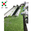 Industrial Continuous High Capacity Fruit Processing Line Manufacturing Fruit Freezing Equipment Fruit Frozen Vegetable Production Line