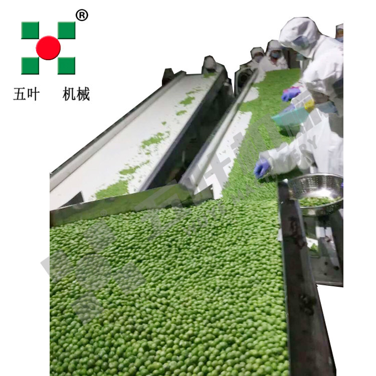 Industrial Continuous High Capacity Fruit Processing Line Manufacturing Fruit Freezing Equipment Fruit Frozen Vegetable Production Line