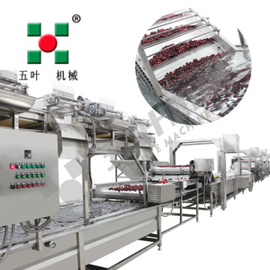 Commercial Freezing Equipment Fruit Processing Line