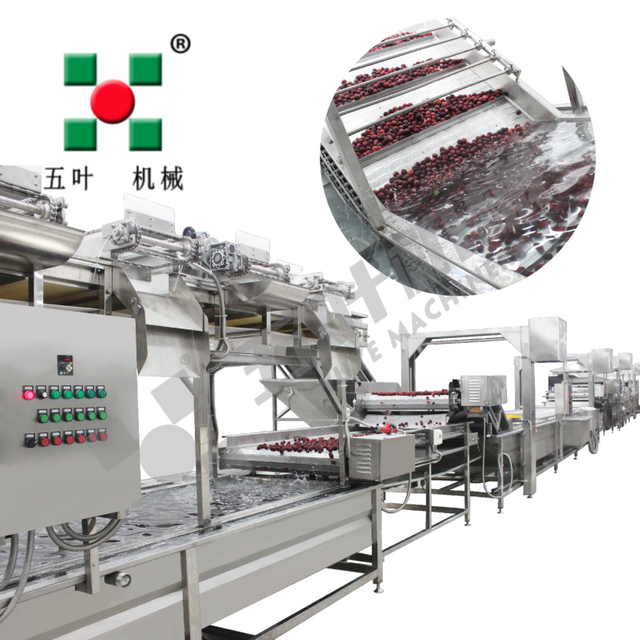Commercial Freezing Equipment Fruit Processing Line