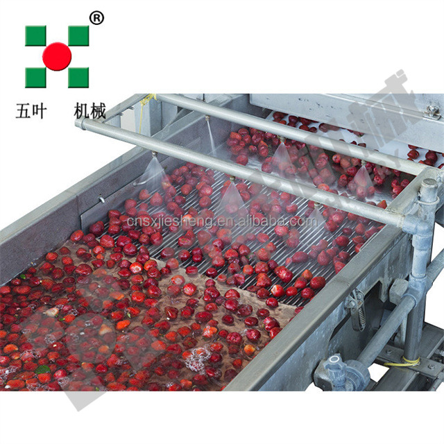 Direct Factory Sales IQF Freezer Production Frozen Strawberries Fruit & Vegetable Processing Machines Line Food Processing Lines