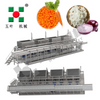 Manufacturer IQF Freezer For Diced Onions