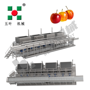 Industrial IQF Freezing Machine for Fruit