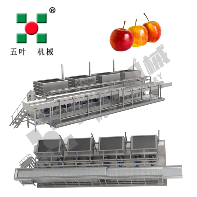 Industrial IQF Freezing Machine for Fruit