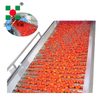  IQF Quick-Freezing Production Line for Cherries & Plums