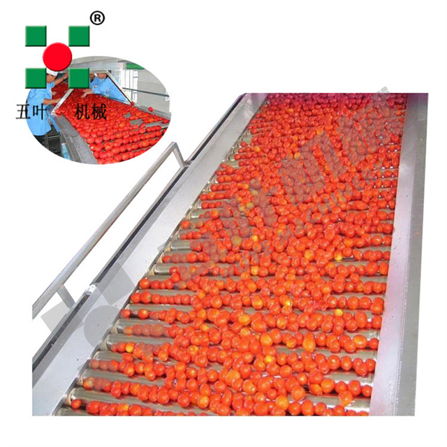  IQF Quick-Freezing Production Line for Cherries & Plums