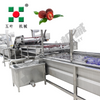 Manufacturer IQF Freezer Vegetable Production Line For Bamboo Shoots