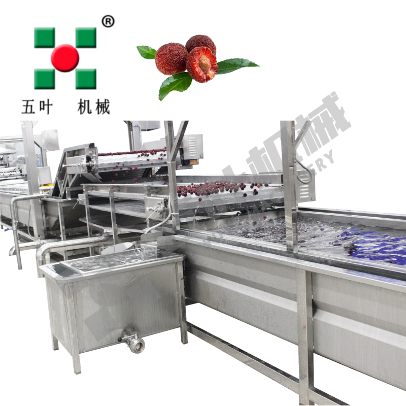 Manufacturer IQF Freezer Vegetable Production Line For Bamboo Shoots