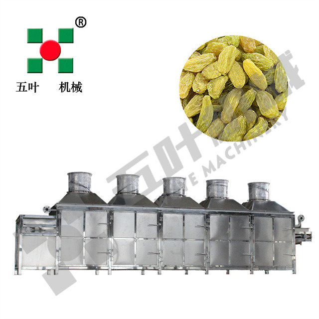 CE Certified Raisin Sterilizer Machine | High-Quality Sterilization Equipment for Global Markets