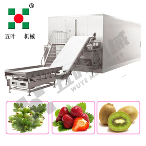 Fluidized Iqf Freezer Iqf Blast Freezer Quick Freeze Equipment Industrial Frozen Seafood Production Lines for Shrimp