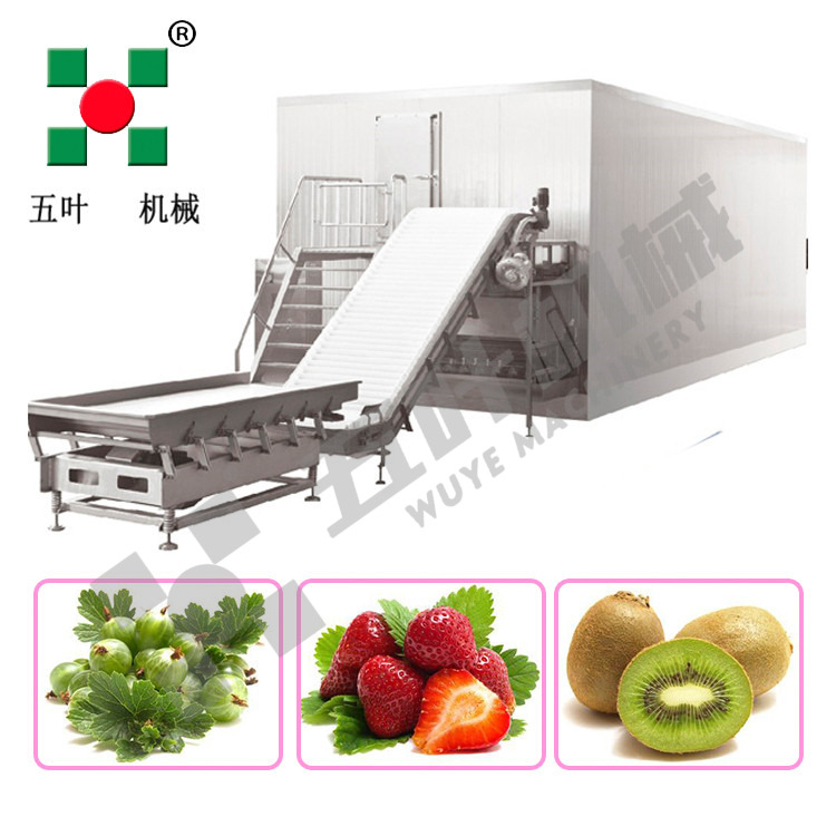 Fluidized Iqf Freezer Iqf Blast Freezer Quick Freeze Equipment Industrial Frozen Seafood Production Lines for Shrimp