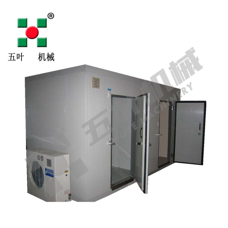 Cold room storage blast freezer cold room cold room system Food industrial freezer foe fruits seafood fish meat