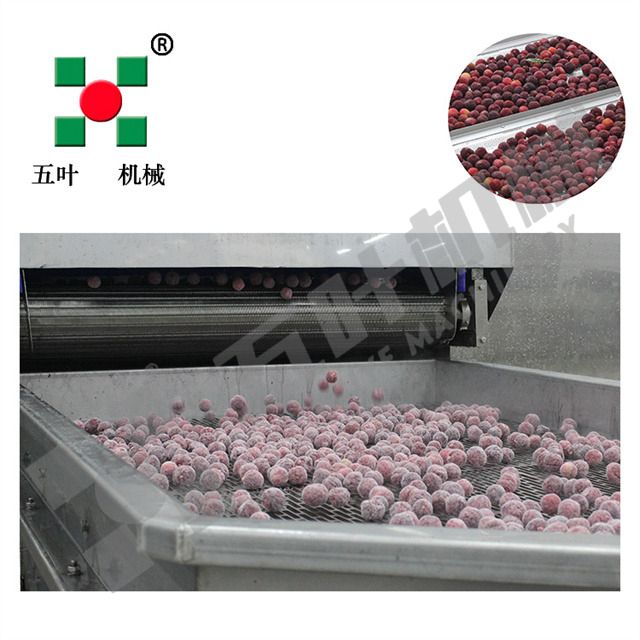Waxberry/Strawberry and Other Fruits Frozen Production Line on Sale