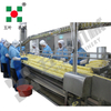 High-Efficiency Pineapple IQF Freezing Processing Line - Customized for Peeled Slices & Chunks Freeze Fruit Production Line