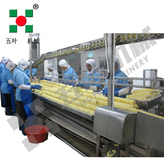 High-Efficiency Pineapple IQF Freezing Processing Line - Customized for Peeled Slices & Chunks Freeze Fruit Production Line
