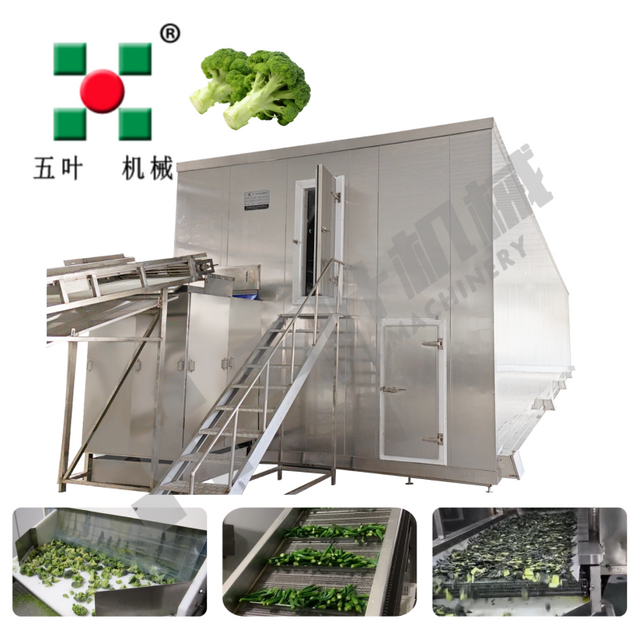 Professional IQF Freezing Machine For Broccoli