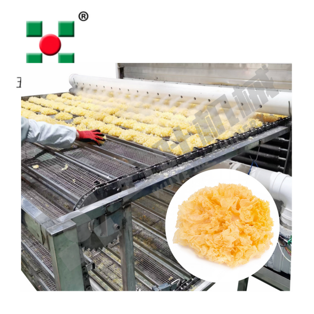 Multilayer Belt Drying Machine For Mushroom