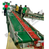  IQF Quick-Freezing Production Line for Cherries & Plums