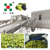 Customized Freezing Equipment Fruit Processing Line For Mango