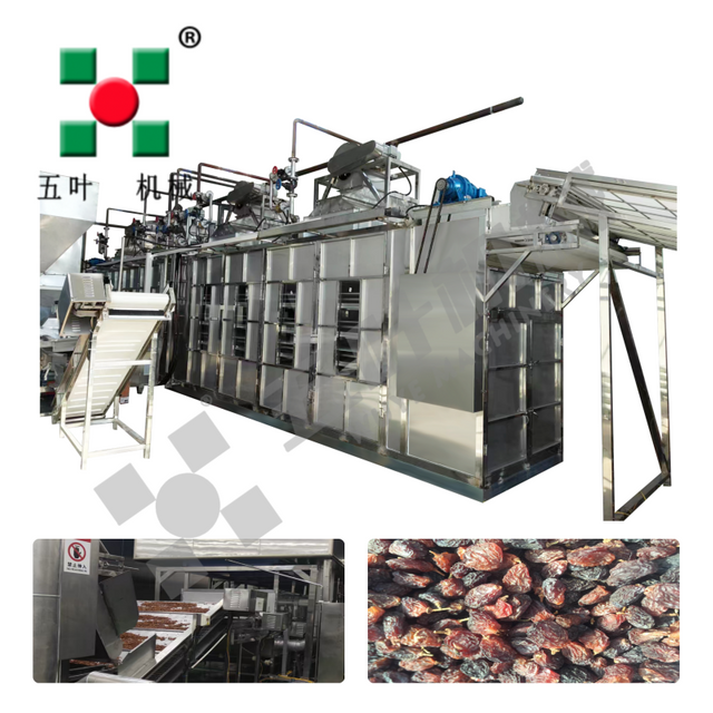 Industrial Fruit Dryer Production Line For Lychee