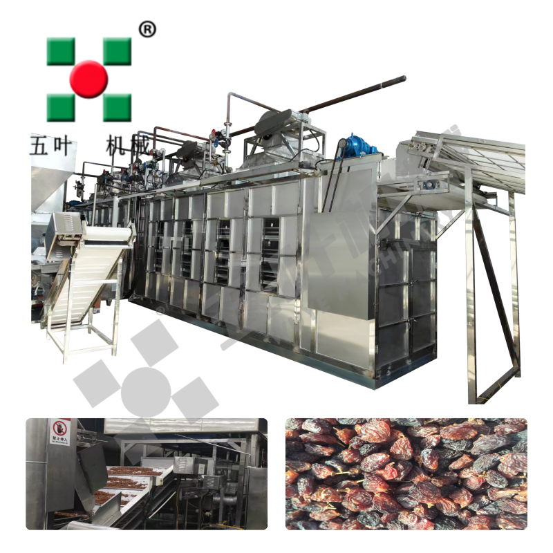 Industrial Fruit Dryer Production Line For Lychee