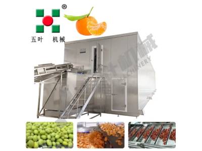 What Is An IQF Freezer And How Does It Work?