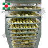 Quick Freezing Room for Durian Segments