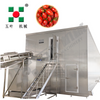 Continuous Fluidization Machine for Cheese Products
