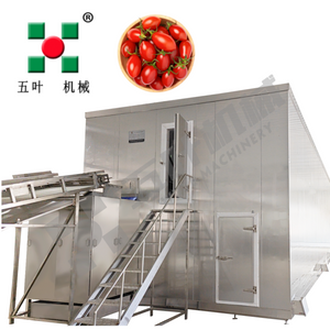 Compact IQF Freezer For Cherry Tomatoes