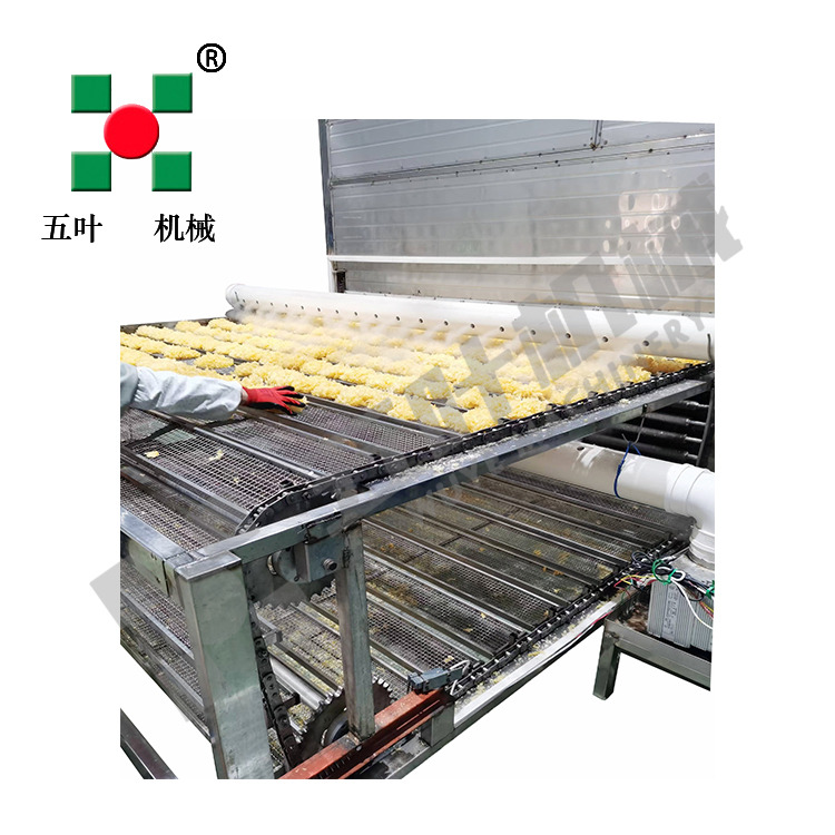 Belt Drying Equipment For Sea Buckthorn Dryer