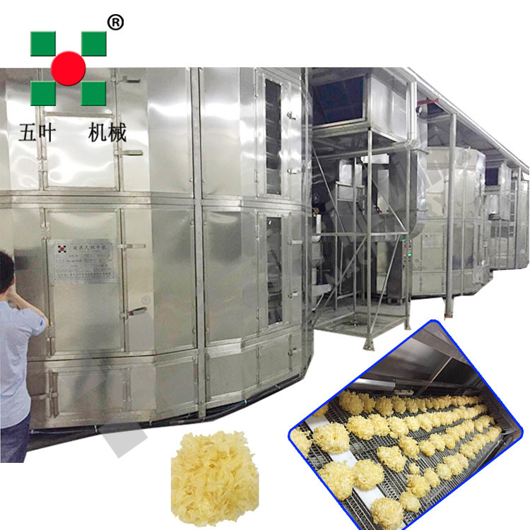 Professional Spiral Drying Equipment For Mushroom