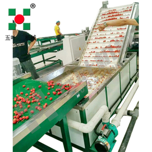 Commercial Freezing Equipment Fruit Processing Line