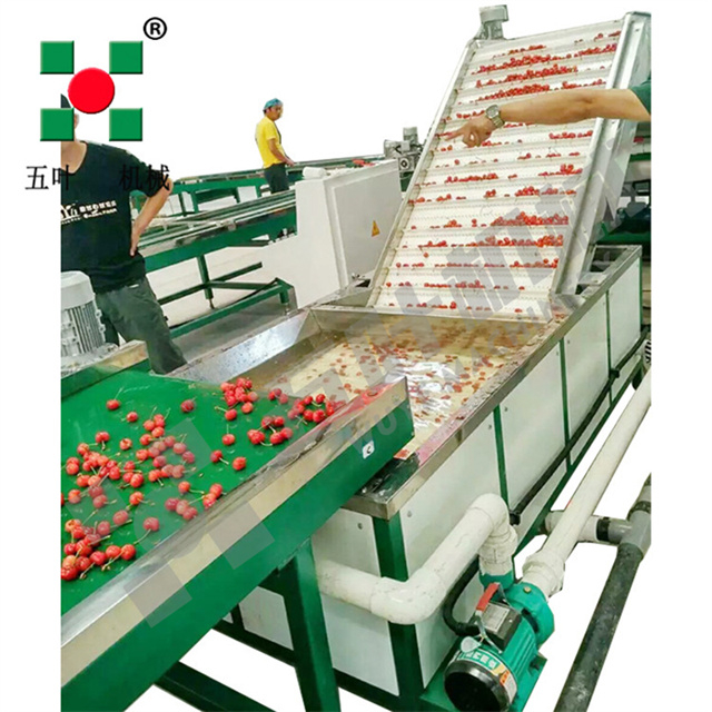 Commercial Freezing Equipment Fruit Processing Line