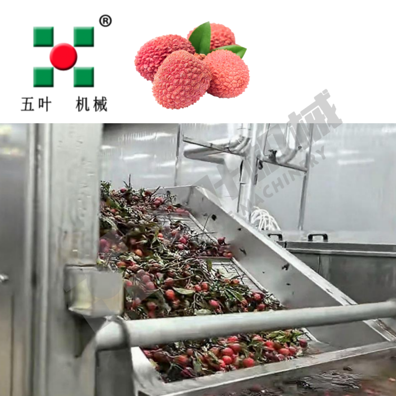 Manufacturer IQF Freezer Vegetable Production Line For Bamboo Shoots