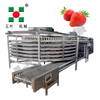 Customized Dryer production line For fruit&vegetable