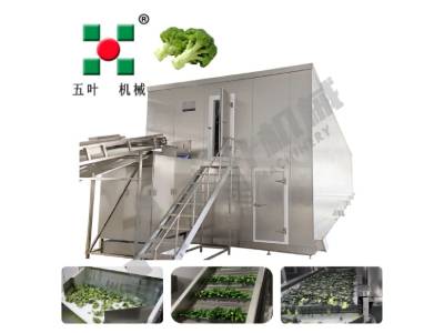 IQF Freezing Machine